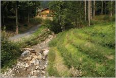 Fig. 1 - Protections de berges en génie végétal sur la Petite Gryonne, cours d’eau torrentiel des Préalpes vaudoises (chantier pilote Géni’Alp - Canton de Vaud - Suisse).