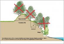 Fig. 4 - Modalités de gestion des ligneux sur les digues.