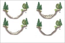 Fig. 6 - La morphologie des ravins situés en tête de bassin est fortement contrôlée par les apports sédimentaires en provenance des versants ; de longues phases d’accumulations sédimentaires se succèdent avec des phases rapides de vidange brutale sous forme de coulées de débris (T4 – d’après Jakob et al. 2005).