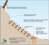 Fig. 5 - Coupe transversale sur le site amont, la fascine de pied de berge initialement envisagée n’a finalement pas été retenue (source : BIOTEC).