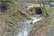 Fig. 15 - Le site lors de l’état des lieux, noter le pont à l’aval.