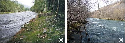 Fig. 16 - Ouvrage de génie végétal à Bourg-Saint-Maurice : (a) en 1996 ; (b) en 2011. Si la fascine inférieure est immergée et n’a pas repris, des arbres se sont développés à partir de la fascine supérieure. 