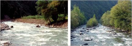 Fig. 17 - Vue générale de l’ouvrage de couches de branches à rejets avec enrochement en pied de berge, sur la rive droite de la rivière Passer à Rifiano : (a) situation à la fin des travaux en 1992 ; (b) état en 2011.
