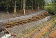 Fig. 18 - Caissons en rondins, végétalisés, pour soutenir le chemin en rive droite. Fig. 18 - Caissons en rondins, végétalisés, pour soutenir le chemin en rive droite.