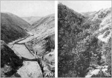 Fig. 3 - Le Val di Mezzo (Rivoli Veronese - Vénétie - Italie) : (a) au moment des travaux de lutte contre l’érosion ; (b) 5 ans après la plantation de saules, d’aulnes et de robiniers (Di Tella 1912).