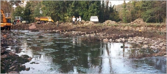 Fig. 63 - Berge de l’Adour pendant les travaux (automne 1999). Remarquez la succession d’épis plongeants, végétalisés.