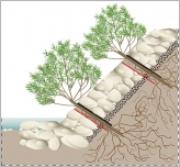 Fig. 78 - Coupe transversale sur un enrochement bouturé : en rouge, le géotextile biodégradable ; en noir, les panneaux d’OSB ; entre les deux, la terre végétale et les plançons. Les points noirs représentent la couche de transition.