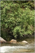 Fig. 8 - Situation en pied de berge.