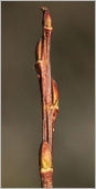 Fig. 2 - Rameau de l’année brun chocolat, cannelé au sommet.