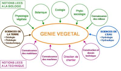 p88_Disciplines_Génie_Végétal_b.jpg